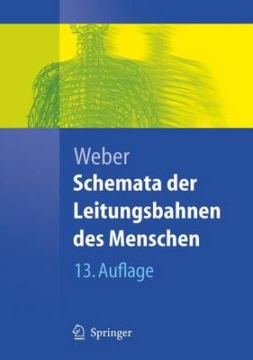 Schemata der Leitungsbahnen des Menschen - Eduard M.W. Weber