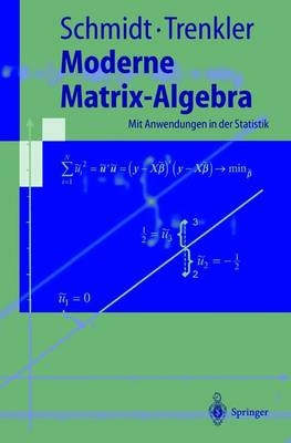 Moderne Matrix-Algebra - Karsten Schmidt, Götz Trenkler