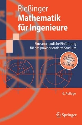 Mathematik für Ingenieure - Thomas Riessinger