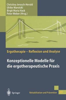 Ergotherapie, Reflexion und Analyse