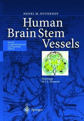 Human Brain Stem Vessels - Henri M. Duvernoy
