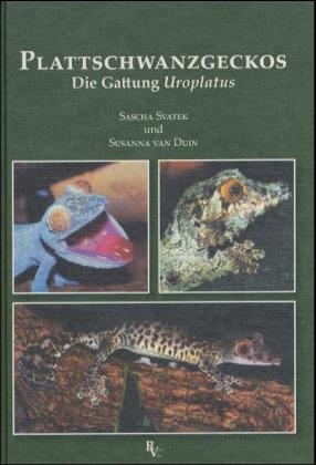 Plattschwanzgeckos