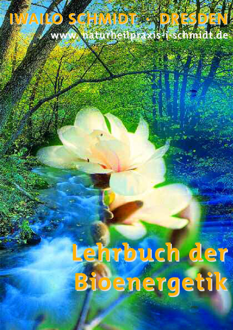 Lehrbuch der Bioenergetik - Iwailo Schmidt