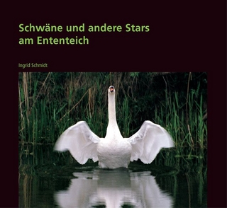 Schwäne und andere Stars am Ententeich