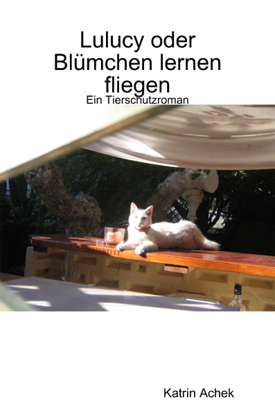 Lulucy Oder Blumchen Lernen Fliegen - Katrin Achek