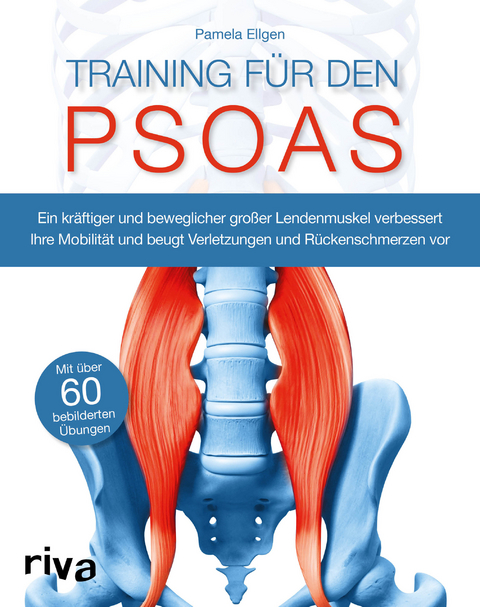 Training f&uuml;r den Psoas - Pamela Ellgen