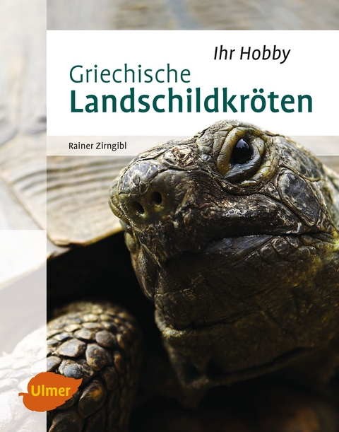Griechische Landschildkr&ouml;ten - Rainer Zirngibl