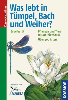 Was lebt in T&uuml;mpel, Bach und Weiher? - Wolfgang Engelhardt, Peter Martin, Klaus Rehfeld
