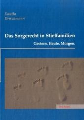 Das Sorgerecht in Stieffamilien - Danila Drischmann