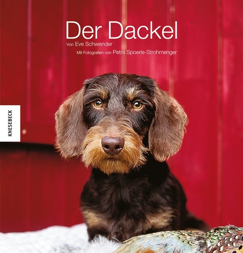Der Dackel - Eve Schwender