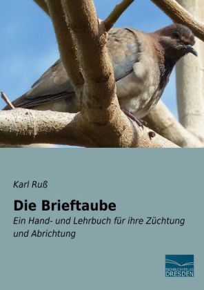 Die Brieftaube - Karl Ru&szlig;