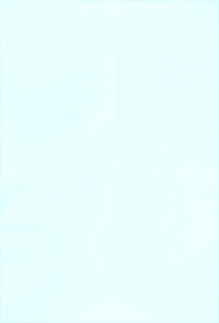 Berichte aus der Abwurfzone