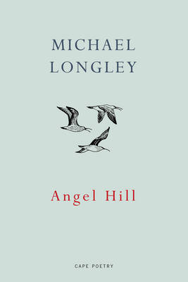 Angel Hill -  Michael Longley