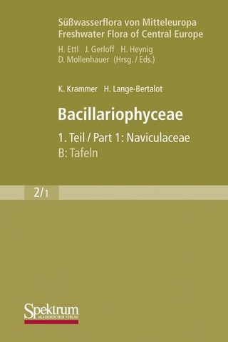 Süßwasserflora von Mitteleuropa, Bd. 02/1: Bacillariophyceae, 1. Teil: Naviculaceae, A: Text; B: Tafeln