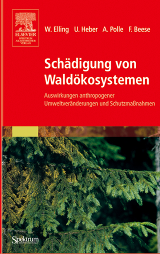 Schädigung von Waldökosystemen