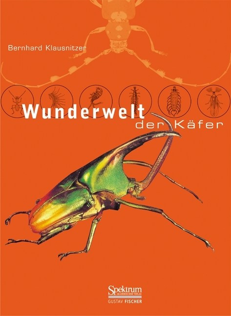 Wunderwelt der K&auml;fer - Bernhard Klausnitzer