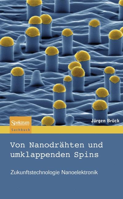Von Nanodr&auml;hten und umklappenden Spins - J&uuml;rgen Br&uuml;ck