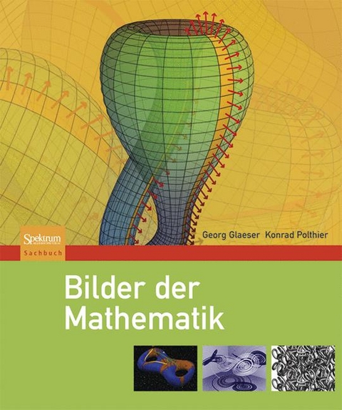 Bilder der Mathematik - Georg Glaeser, Konrad Polthier
