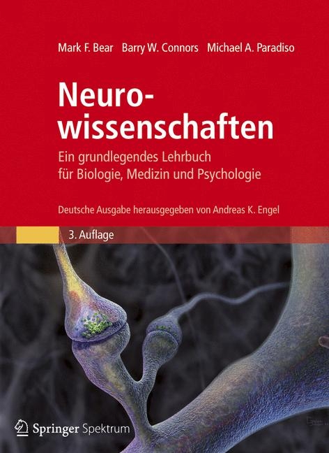 Neurowissenschaften - Mark F. Bear, Barry W. Connors, Michael A. Paradiso
