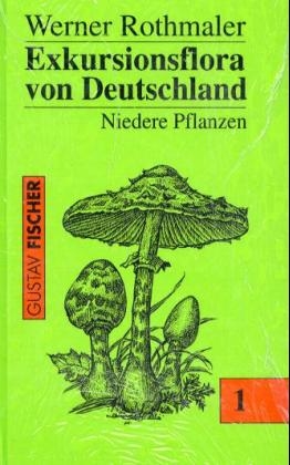 Rothmaler - Exkursionsflora von Deutschland. Bde. 1-4: Gesamtwerk. (1994-2005) / Rothmaler - Exkursionsflora von Deutschland. Bde. 1-4: Gesamtwerk