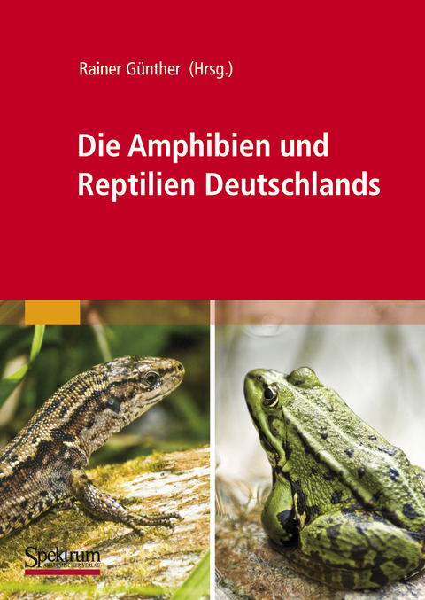 Die Amphibien und Reptilien Deutschlands - 