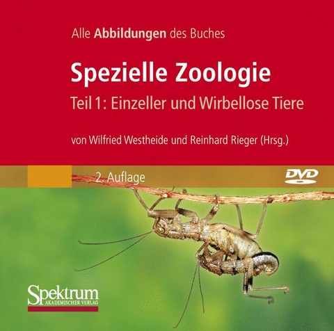 Spezielle Zoologie. Teil 1 /2. Paket. Teil 1: Einzeller und Wirbellose... / Bild-DVD, Spezielle Zoologie, Teil 1: Einzeller und Wirbellose Tiere - 