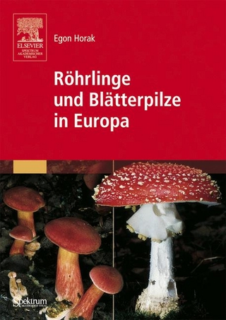 Röhrlinge und Blätterpilze in Europa