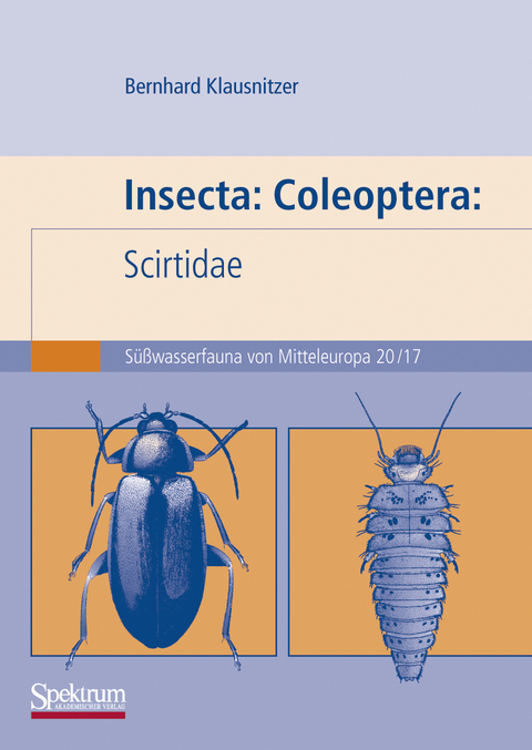 Insecta: Coleoptera: Scirtidae - Bernhard Klausnitzer