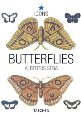 Albertus Seba. Butterflies