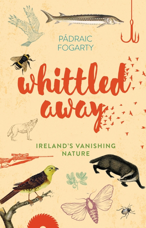 Whittled Away -  Padraic Fogarty