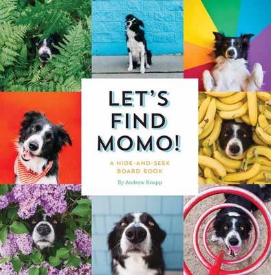 Let's Find Momo! -  Andrew Knapp