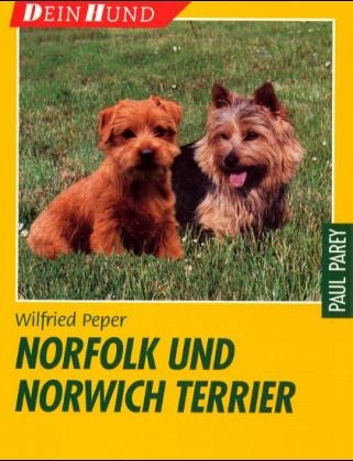 Norfolk- und Norwich-Terrier - Wilfried Peper