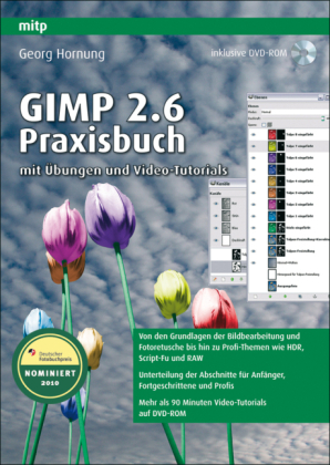 Gimp 2.6