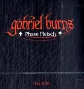 Gabriel Burns - CD / Phase Fleisch II/III