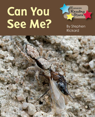 Can You See Me -  Rickard Stephen