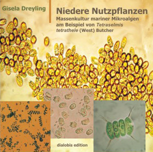 Niedere Nutzpflanzen - Gisela Dreyling