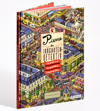 Pierre, der Irrgarten-Detektiv