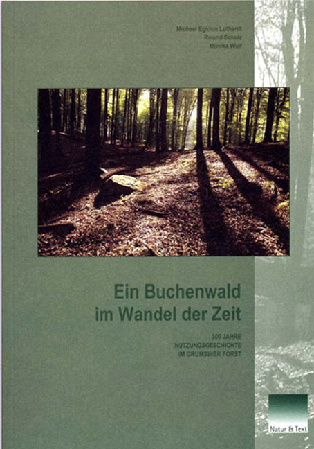 Ein Buchenwald im Wandel der Zeit