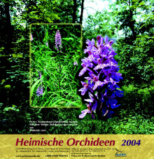 Heimische Orchideen I (2004) - 