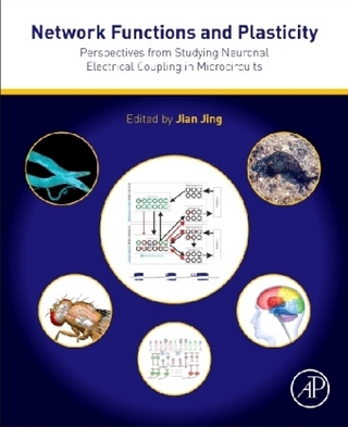 Network Functions and Plasticity