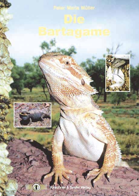 Die Bartagame - Peter M M&uuml;ller