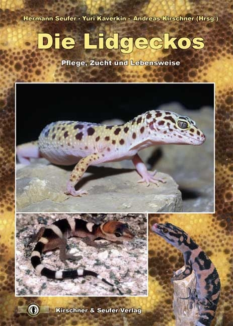 Die Lidgeckos - Hermann Seufer, Yuri Kaverkin, Andreas Kirschner, Jon Boone, Thomas Ernst, Tino Holfert
