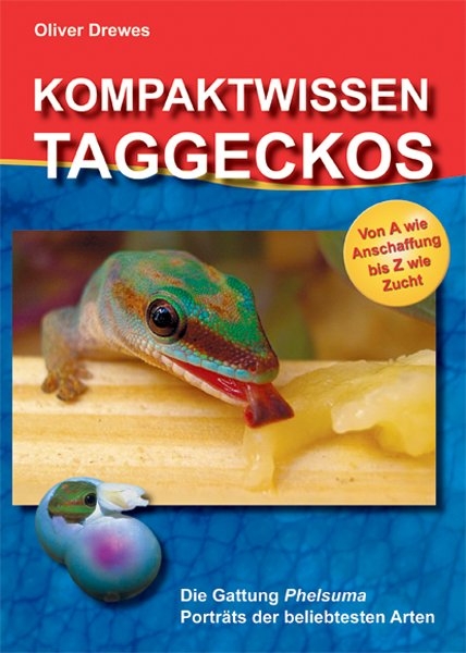 Kompaktwissen Taggeckos - Oliver Drewes