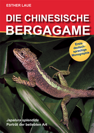 Die Chinesische Bergagame /Japalura Spendida