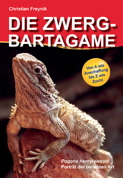 Die Zwergbartagame / Pogona henrylawsoni - Christian Freynik