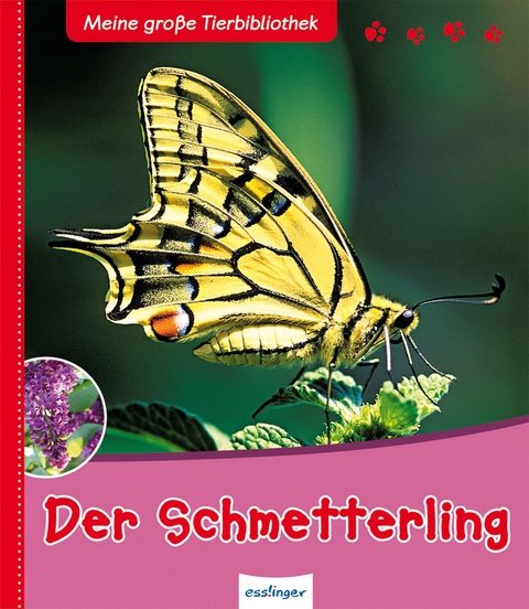 Meine gro&szlig;e Tierbibliothek: Der Schmetterling - Val&eacute;rie Tracqui