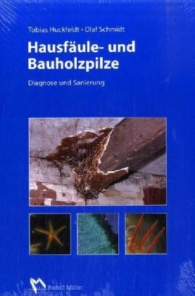 Hausf&auml;ule- und Bauholzpilze - Tobias Huckfeldt, Olaf Schmidt