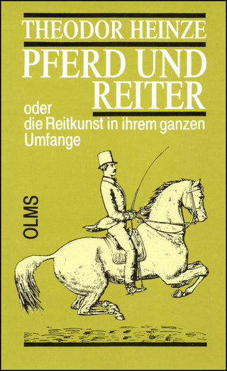 Pferd und Reiter