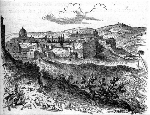 Eine Reise nach dem Orient - Hermann Wedewer