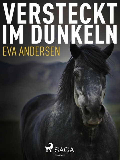 Versteckt im Dunkeln - Eva Andersen